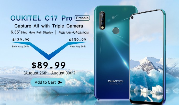Цена Oukitel C17 Pro