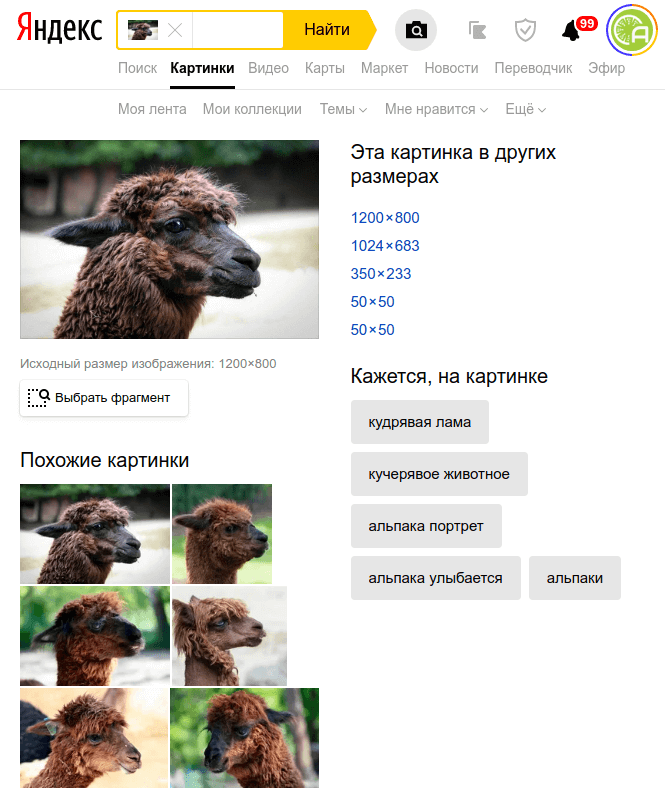 Поиск по картинкам в Яндекс