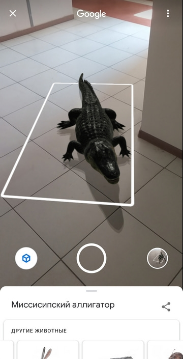Животные в 3D на смартфоне