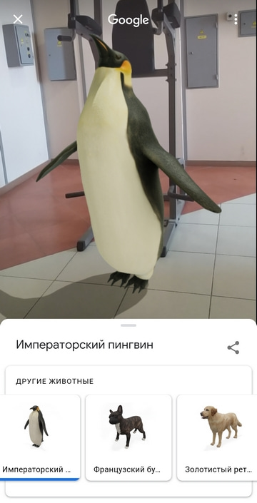 3D-модель пингвина