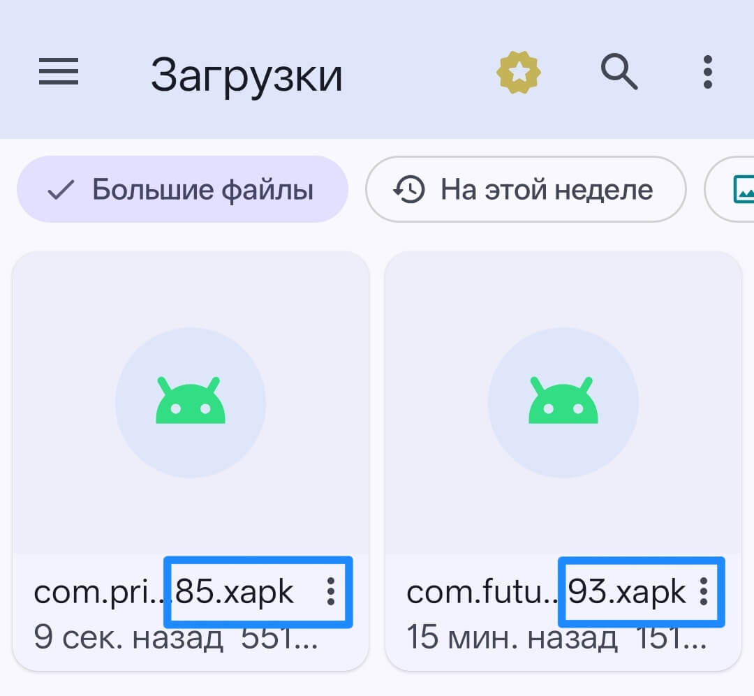 XAPK
